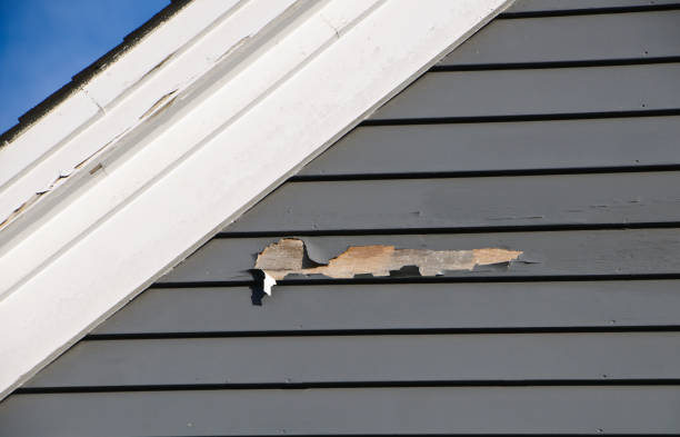 How To Choose The Right Materials for Your Siding Installation in 'Cypress Lake, FL